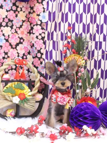 20250105メイちゃん